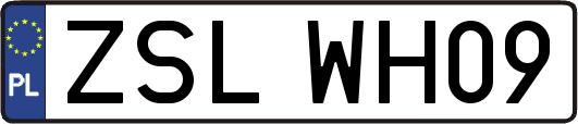 ZSLWH09