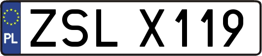 ZSLX119