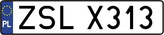 ZSLX313
