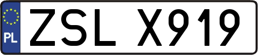 ZSLX919