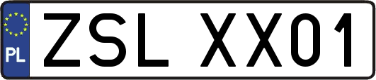 ZSLXX01