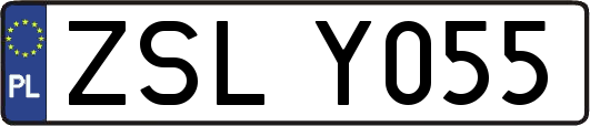 ZSLY055