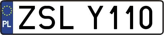 ZSLY110