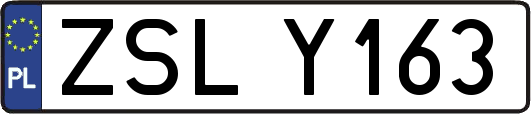 ZSLY163