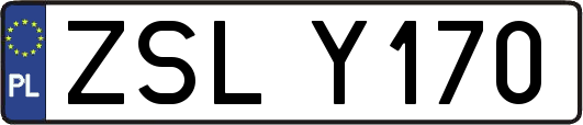 ZSLY170