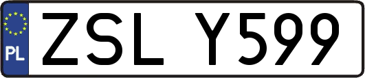 ZSLY599