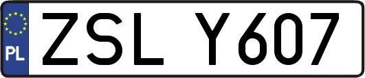 ZSLY607