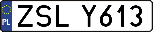 ZSLY613