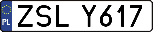 ZSLY617