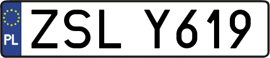 ZSLY619