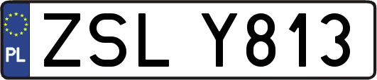 ZSLY813