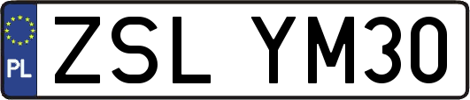 ZSLYM30