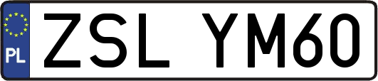 ZSLYM60