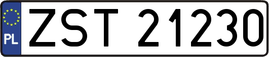ZST21230