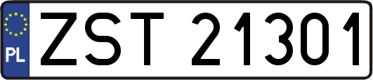 ZST21301