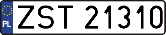 ZST21310