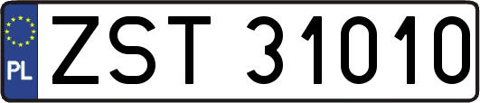 ZST31010