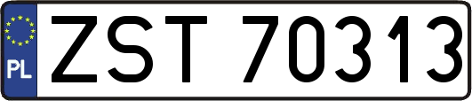 ZST70313