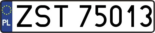 ZST75013