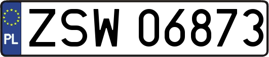 ZSW06873