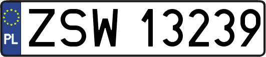 ZSW13239