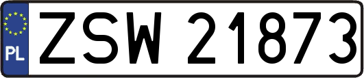 ZSW21873