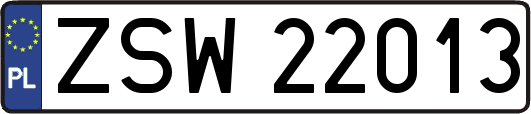 ZSW22013