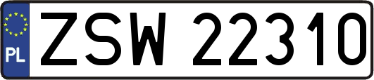 ZSW22310
