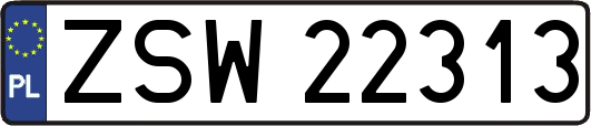 ZSW22313