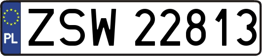 ZSW22813