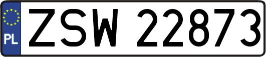 ZSW22873