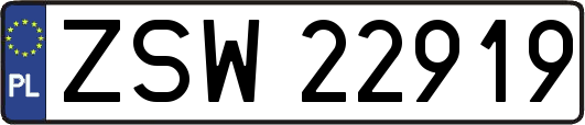 ZSW22919
