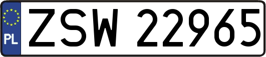 ZSW22965