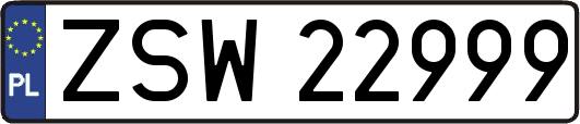 ZSW22999