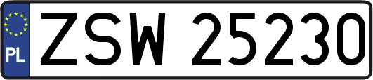 ZSW25230
