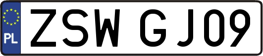 ZSWGJ09