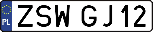 ZSWGJ12