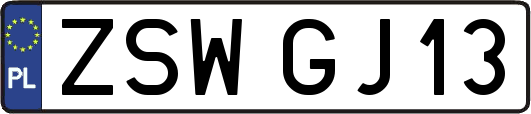 ZSWGJ13