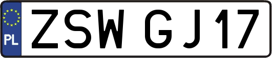 ZSWGJ17