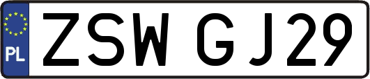 ZSWGJ29