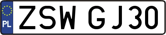 ZSWGJ30