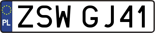 ZSWGJ41