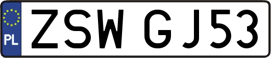ZSWGJ53