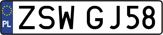 ZSWGJ58
