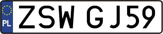 ZSWGJ59
