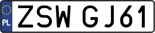 ZSWGJ61