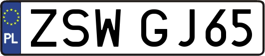 ZSWGJ65