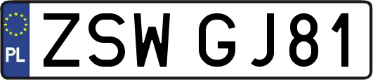 ZSWGJ81
