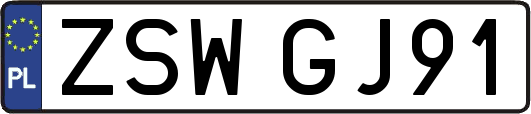 ZSWGJ91