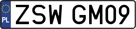 ZSWGM09